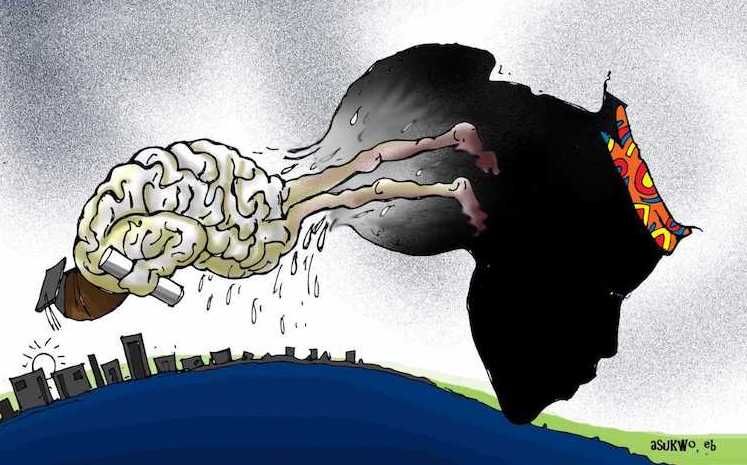 Addressing Brain Drain in Africa: A Vision for Sustainable Change image 1